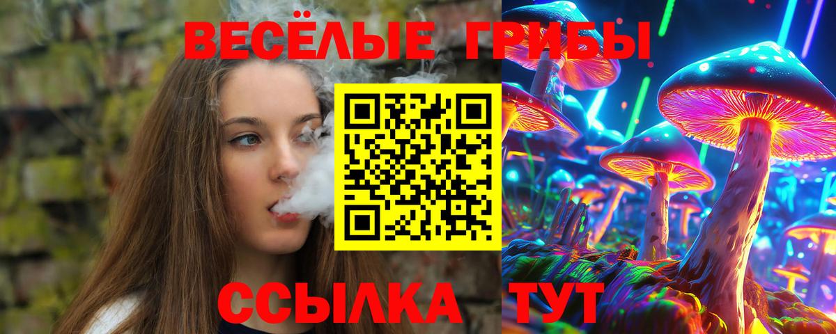 Галлюциногенные грибы GOLDEN TEACHER Краснокаменск
