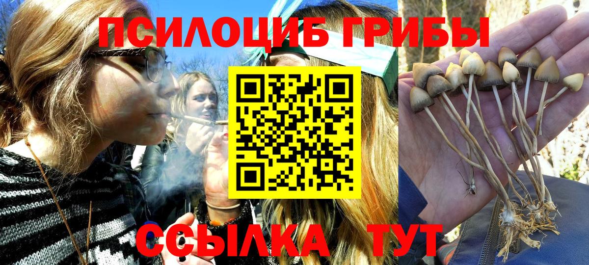 Псилоцибиновые грибы Psilocybine cubensis  Псилоцибиновые грибы Cubensis  Вход с VPN  Краснокаменск 